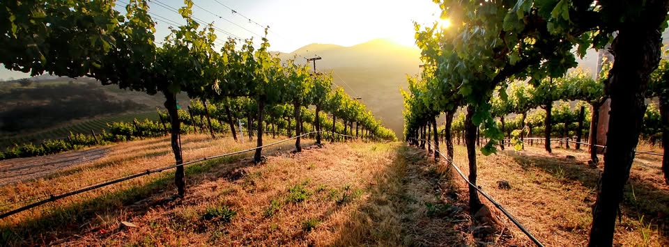 242264750_4319331624788422_408700007304461515_n